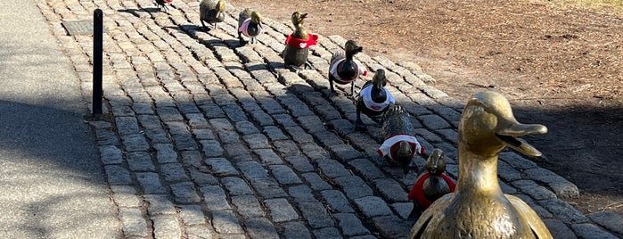 Make Way For Ducklings is one of boston (short trip), 2019.