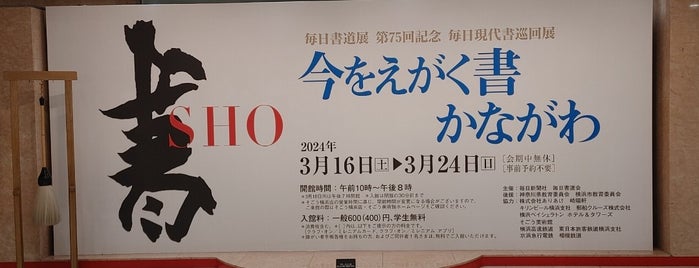 Sogo Museum of Art is one of TOKYO ART & CULTURE MAP+.