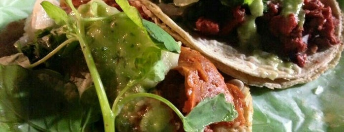 Por Siempre Vegana Taquería is one of Mexico City Foodie Go.