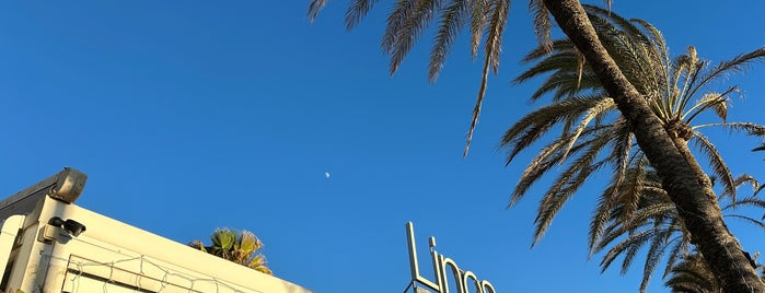 Lino's II is one of Palma.