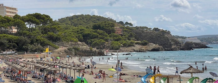 Platja de Torà is one of Playas de Mallorca.