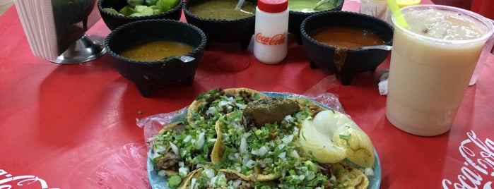 Tacos los Güeros is one of Mx.