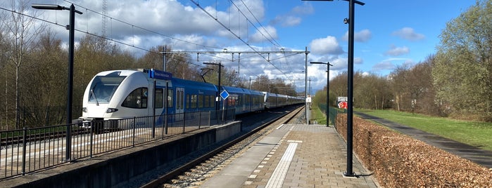 Station Nieuw Amsterdam is one of regular.