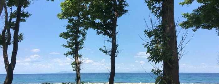 Jamaica Beach is one of Lugares guardados de Spiridoula.