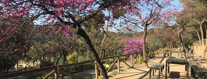 Parque Güell is one of Lugares favoritos de Anna.