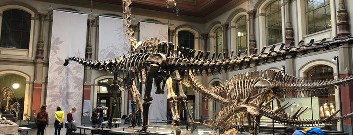 Museo de Historia Natural is one of Lugares favoritos de Anna.