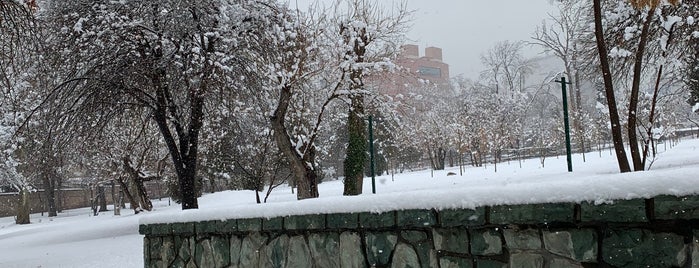 British Embassy Garden | باغ سفارت انگليس is one of Mohsen'in Kaydettiği Mekanlar.