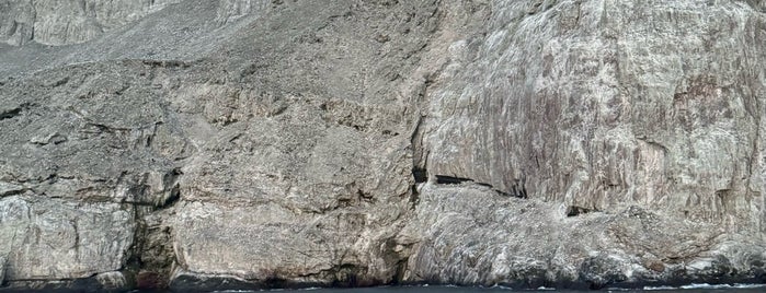 Isla Malpelo is one of UNESCO World Heritage Sites in South America.