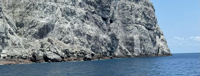 Isla Malpelo is one of UNESCO World Heritage Sites in South America.