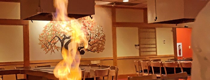 Nakato Japanese Steakhouse & Sushi Bar is one of For Food.