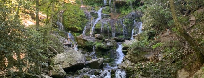 Pisgah National Forest is one of สถานที่ที่ Jacobo ถูกใจ.