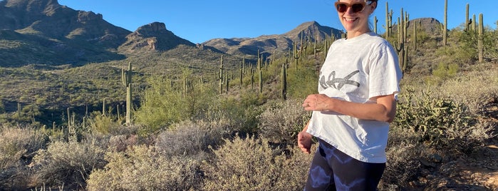 Spur Cross Ranch Conservation Area is one of Maricopa County Parks.