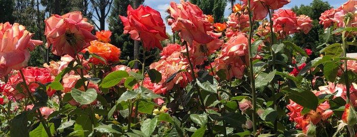 Capitol Park is one of Valerie'nin Beğendiği Mekanlar.