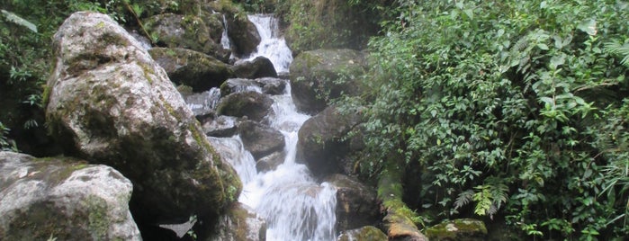Quebrada del Oso. is one of Lugares favoritos de Erick.
