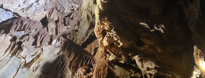 Black Chasm Cavern is one of Show Caves.