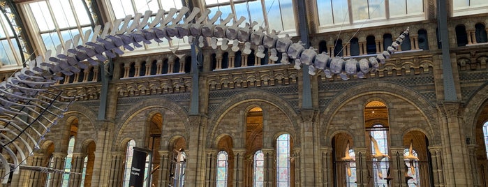 Museo de Historia Natural is one of Lugares favoritos de Stacy.