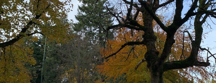 Summit of Mt. Tabor is one of Stacy'ın Beğendiği Mekanlar.