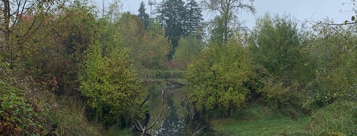 Stringfield Family Park is one of Orte, die Stacy gefallen.