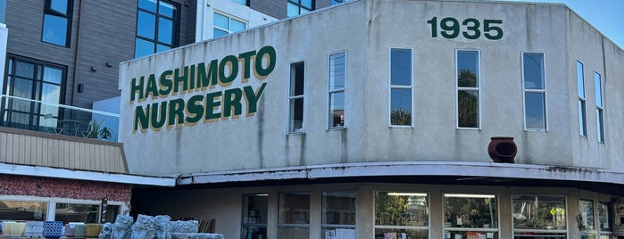 Hashimoto Nursery is one of LA.