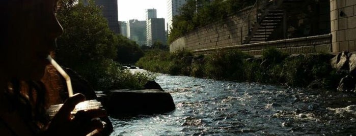 Cheonggyecheon Stream is one of Orte, die Stacy gefallen.