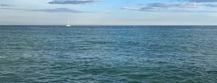 Playa de la Barceloneta is one of Lugares favoritos de Stacy.