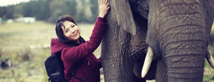 Knysna Elephant Park is one of Posti che sono piaciuti a Stacy.