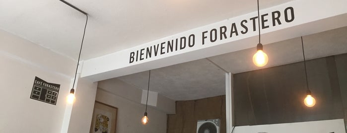 Café Forastero is one of Santiago Specialty Coffee Shops.