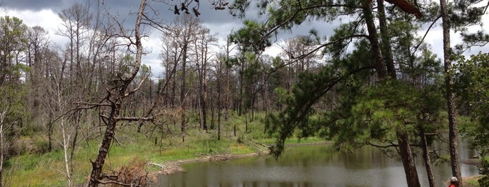 Bastrop State Park is one of Wild(life) Side of Austin.