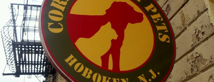 Cornerstone Pets is one of Hoboken Dog Owners.