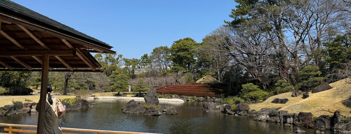 Momijiyama Japanese Garden is one of Hamamatsu to Shizuoka.