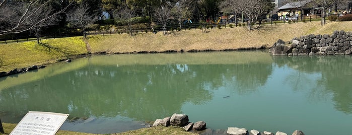 本丸堀 is one of 駿府城公園.