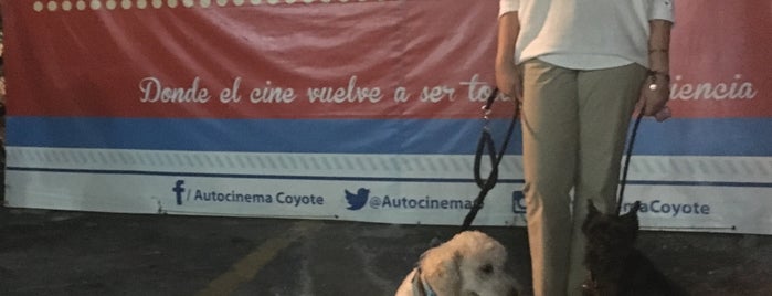 Autocinema Coyote is one of Posti che sono piaciuti a Penelope.