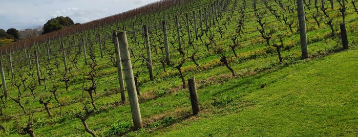 Goldie Vineyard is one of Lugares favoritos de Ricardo.