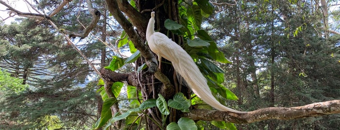 Jardim dos Pinhais Ecco Parque is one of Santo Antônio Pinhal.