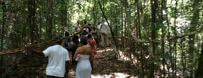 Asa Wright Nature Centre is one of สถานที่ที่บันทึกไว้ของ Jiordana.