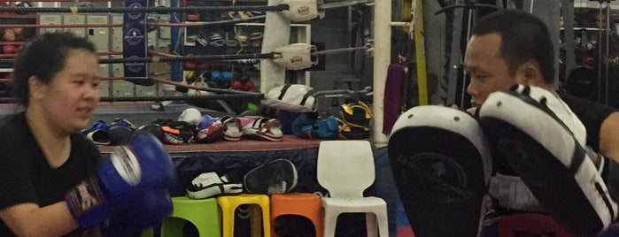 Visit this boxing school