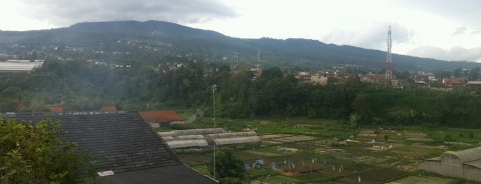 Wisata tanaman cihideung is one of Guide to Bandung's best spots.