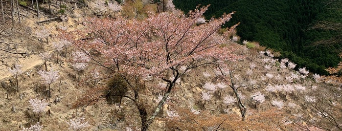 吉野山 奥千本 is one of 奈良.