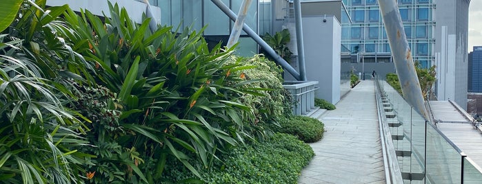 Roof Garden is one of Singapore: business while travelling part 3.