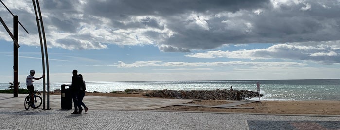 Praia do Forte Novo is one of Algarve.