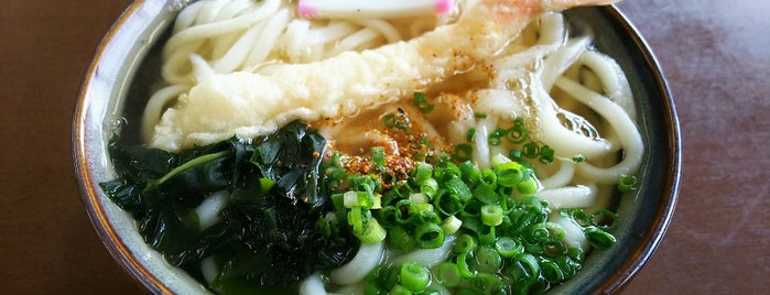 三豊市 観音寺市のうどん屋 全店