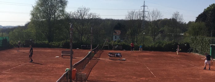 SDI Tennis Itterbeek is one of Services & Freetime in Dilbeek.