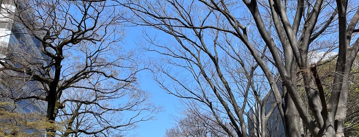 氷川参道 is one of 公園_埼玉県.