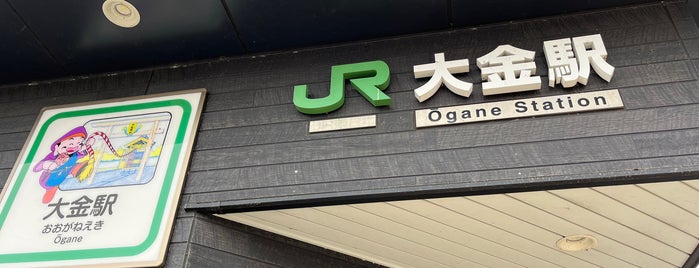 Ōgane Station is one of JR 키타칸토지방역 (JR 北関東地方の駅).