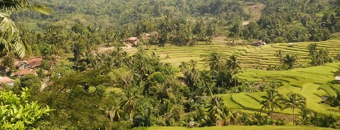 Kp. Bunisari Desa Cikondang Kec. Cisompet, Garut