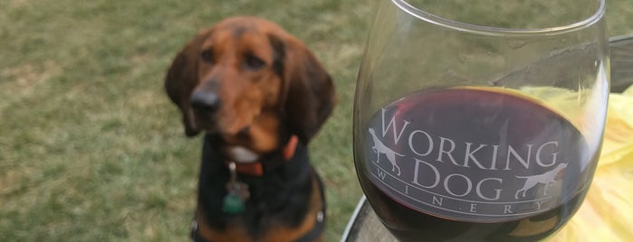 Working Dog Winery is one of New Jersey.