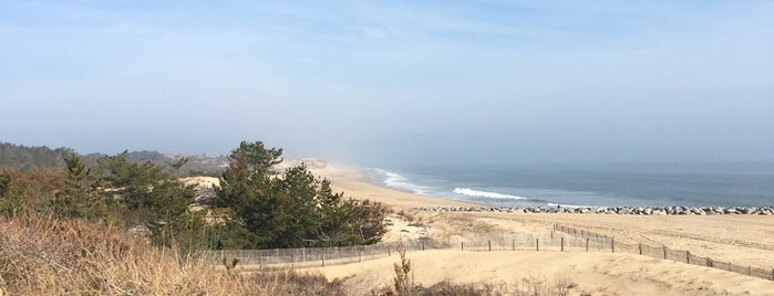 Cape Henlopen State Park is one of The Most Popular U.S. Beaches for Guys.