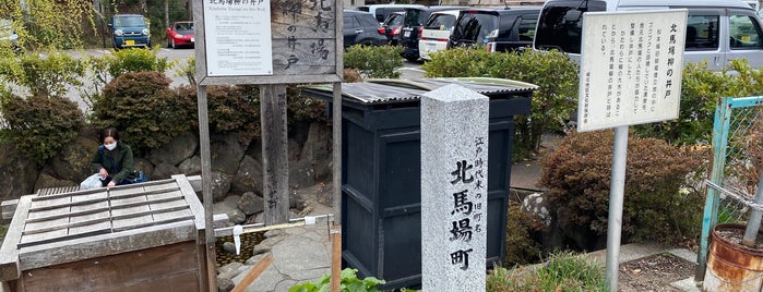 北馬場 柳の井戸 is one of 松本の湧水.