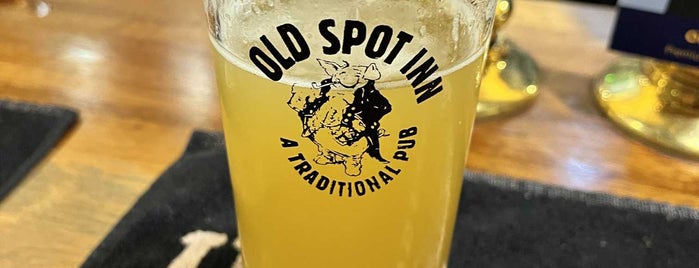 The Old Spot Inn is one of UK and Ireland bar/pub.