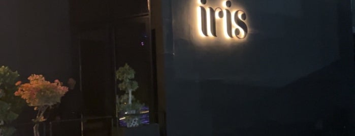 Iris Meydan is one of Lounges in Dubai.